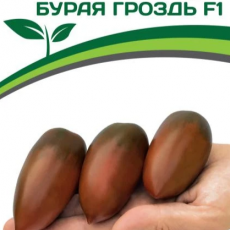 Партнер Томат БУРАЯ ГРОЗДЬ F1 (10шт) двойной пакет - Товары для дома и сада
