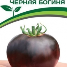 Партнер Томат ЧЕРНАЯ БОГИНЯ (10шт) двойной пакет - Товары для дома и сада
