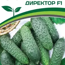 Партнер Огурец Директор F1 (5 шт) - Товары для дома и сада