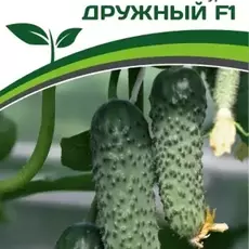 Партнер Огурец Дружный F1 (10 шт) - Товары для дома и сада
