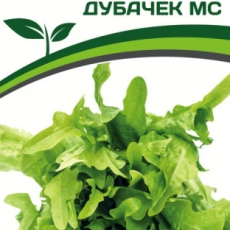 Партнер Салат листовой ДУБАЧЕК МС (0,5г) - Товары для дома и сада
