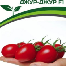 Партнер Томат ДЖУР-ДЖУР F1 (5шт) двойной пакет - Товары для дома и сада