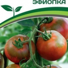 Партнер Томат ЭФИОПКА (10шт) двойной пакет - Товары для дома и сада