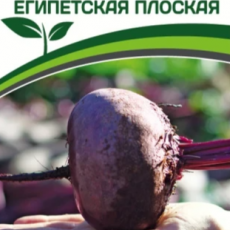 Партнер Свекла ЕГИПЕТСКАЯ ПЛОСКАЯ (3г) - Товары для дома и сада