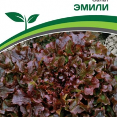 Партнер Салат листовой ЭМИЛИ (1г) - Товары для дома и сада