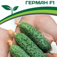 Партнер Огурец Герман F1 (5 шт) - Товары для дома и сада