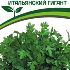 Партнер Петрушка листовая ИТАЛЬЯНСКИЙ ГИГАНТ (2г) - Товары для дома и сада