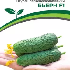 Партнер Огурец Бьерн F1 (5 шт) - Товары для дома и сада
