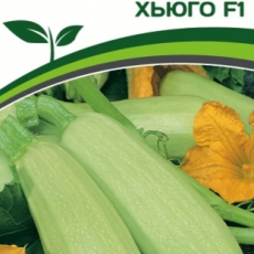 Партнер Кабачок ХЬЮГО F1 (5шт) - Товары для дома и сада