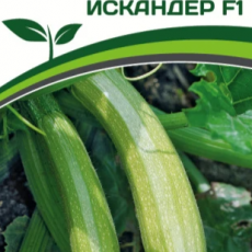 Партнер Кабачок ИСКАНДЕР F1 (5шт) - Товары для дома и сада