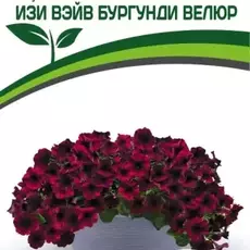 Партнер Петуния F1 серия ИЗИ ВЭЙВ БУРГУНДИ ВЕЛЮР/ многоцветковая каскадно-ампельная^(5шт в амп) - Товары для дома и сада