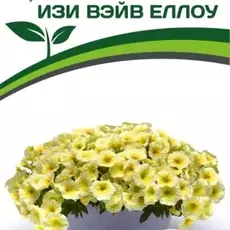 Партнер Петуния F1 серия ИЗИ ВЭЙВ ЕЛЛОУ/ многоцветковая каскадно-ампельная^(5шт в амп) - Товары для дома и сада