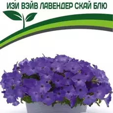 Партнер Петуния F1 серия ИЗИ ВЭЙВ ЛАВЕНДЕР СКАЙ БЛЮ/ многоцветковая каскадно-ампельная ^(5шт в амп) - Товары для дома и сада