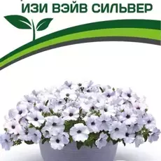 Партнер Петуния F1 серия ИЗИ ВЭЙВ СИЛЬВЕР/ многоцветковая каскадно-ампельная^(5шт в амп) - Товары для дома и сада