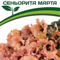 Эустома Сеньерита Марта - Товары для дома и сада