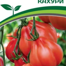 Партнер Томат КАХУРИ (0,05г) двойной пакет - Товары для дома и сада