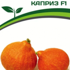 Партнер Тыква КАПРИЗ F1 (5шт) - Товары для дома и сада