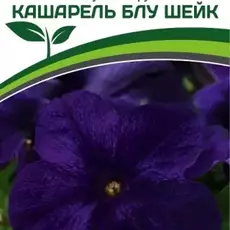 Партнер Петуния F1 КАШАРЕЛЬ БЛУ ШЕЙК / крупноцветковая компактная^(10шт в амп) - Товары для дома и сада