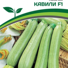 Партнер Кабачок КАВИЛИ F1 (5шт) - Товары для дома и сада