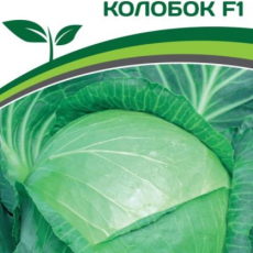 Партнер Капуста б/к КОЛОБОК F1 (0,2г в амп) - Товары для дома и сада