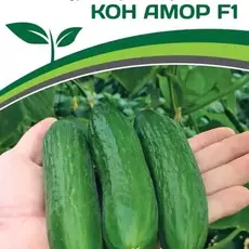 Партнер Огурец Кон Амор F1 (5 шт) - Товары для дома и сада