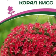Партнер Петуния F1 серия "ЗАЦВЕТЁТ" Middle КОРАЛ КИСС / многоцветковая полуампельная^(5шт в амп) - Товары для дома и сада