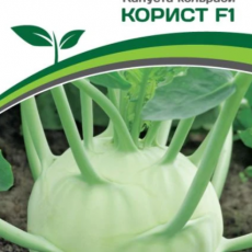 Партнер Капуста кольраби КОРИСТ F1 (10шт) - Товары для дома и сада