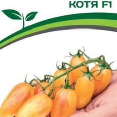 Партнер Томат КОТЯ F1 (10шт) двойной пакет - Товары для дома и сада
