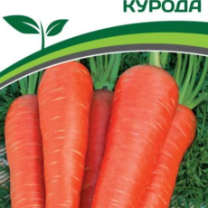 Партнер Морковь КУРОДА (1г) - Товары для дома и сада