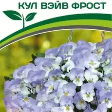 Партнер Виола F1 ампельная КУЛ ВЭЙВ ФРОСТ ^(5шт в амп) - Товары для дома и сада