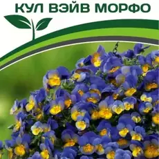 Партнер Виола F1 ампельная КУЛ ВЭЙВ МОРФО ^(5шт в амп) - Товары для дома и сада