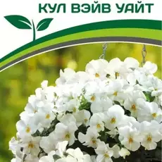 Партнер Виола F1 ампельная КУЛ ВЭЙВ УАЙТ ^(5шт в амп) - Товары для дома и сада