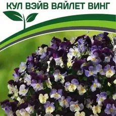 Партнер Виола F1 ампельная КУЛ ВЭЙВ ВАЙЛЕТ ВИНГ ^(5шт в амп) - Товары для дома и сада