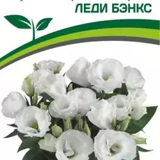 Эустома Леди Бенкс - Товары для дома и сада