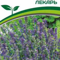Партнер Иссоп ЛЕКАРЬ (0,5г) - Товары для дома и сада