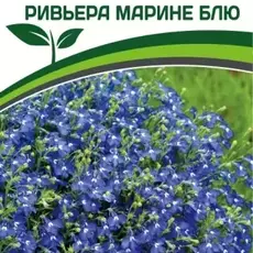 Партнер Лобелия каскадная РИВЬЕРА МАРИНЕ БЛЮ ^(10шт в амп) - Товары для дома и сада