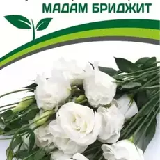 Эустома Мадам Бриджит - Товары для дома и сада