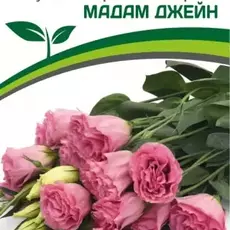 Эустома Мадам Джейн - Товары для дома и сада