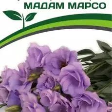 Эустома Мадам Марсо - Товары для дома и сада