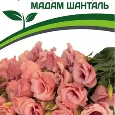 Эустома Мадам Шанталь - Товары для дома и сада