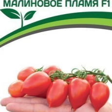 Партнер Томат МАЛИНОВОЕ ПЛАМЯ F1 (10шт) двойной пакет - Товары для дома и сада