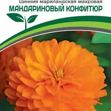 Партнер Цинния МАНДАРИНОВЫЙ КОНФИТЮР / мариландская махровая ^(5шт) - Товары для дома и сада