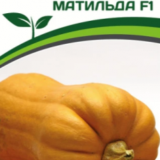 Партнер Тыква МАТИЛЬДА F1 (5шт) - Товары для дома и сада