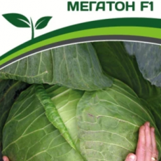 Партнер Капуста б/к МЕГАТОН F1 (10шт в амп) - Товары для дома и сада