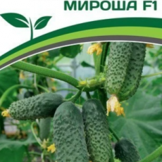 Партнер Огурец МИРОША F1 (10шт) - Товары для дома и сада