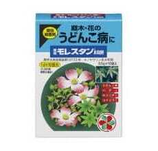 Морестан - Товары для дома и сада