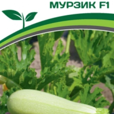 Партнер Кабачок МУРЗИК F1 (5шт) - Товары для дома и сада