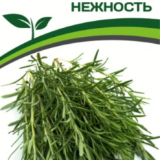 Партнер Розмарин НЕЖНОСТЬ (0,05г) - Товары для дома и сада