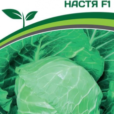 Партнер Капуста б/к НАСТЯ F1 (0,2г в амп) - Товары для дома и сада