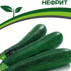 Партнер Кабачок цуккини НЕФРИТ (10шт) - Товары для дома и сада